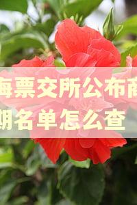 上海票交所公布商票逾期名单怎么查