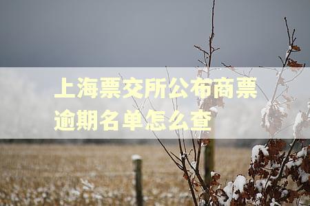 上海票交所公布商票逾期名单怎么查