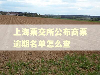 上海票交所公布商票逾期名单怎么查 上海票交所公布商票逾期名单怎么查