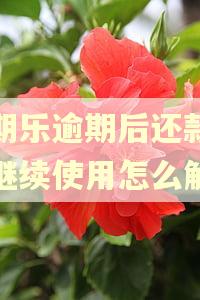 分期乐逾期后还款不能继续使用怎么解除