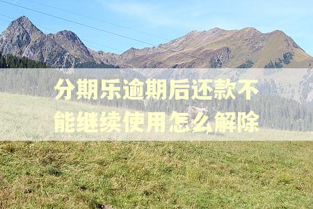 分期乐逾期后还款不能继续使用怎么解除