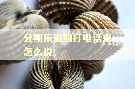 分期乐逾期打电话来怎么说