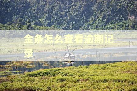 金条怎么查看逾期记录