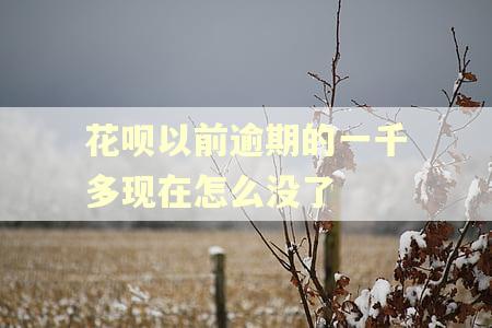 花呗以前逾期的一千多现在怎么没了