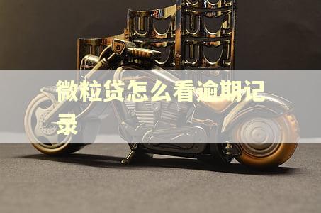 微粒贷怎么看逾期记录