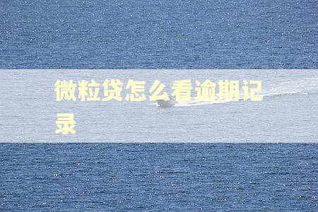 微粒贷怎么看逾期记录