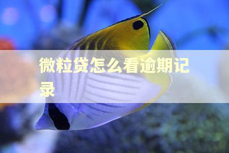 微粒贷怎么看逾期记录