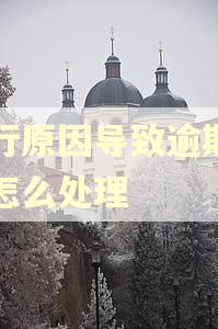 银行原因导致逾期一般怎么处理