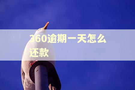 360逾期一天怎么还款