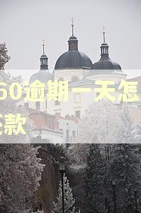 360逾期一天怎么还款