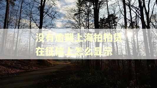没有逾期上海拍拍贷在征信上怎么显示