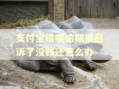 支付宝借呗逾期被起诉了没钱还怎么办 支付宝借呗逾期被起诉了没钱还怎么办