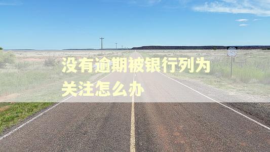 没有逾期被银行列为关注怎么办