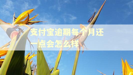 支付宝逾期每个月还一点会怎么样