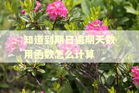 知道到期日逾期天数用函数怎么计算