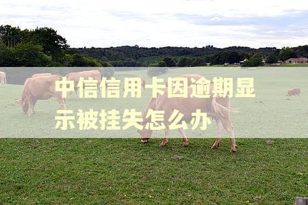 中信信用卡因逾期显示被挂失怎么办