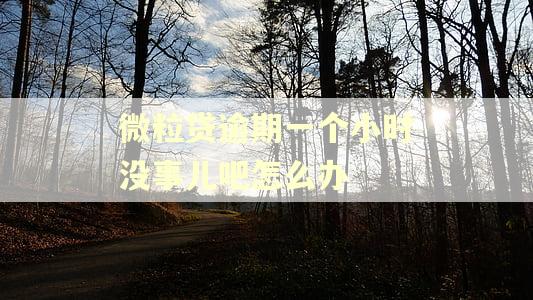 微粒贷逾期一个小时没事儿吧怎么办