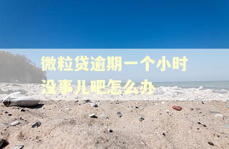 微粒贷逾期一个小时没事儿吧怎么办