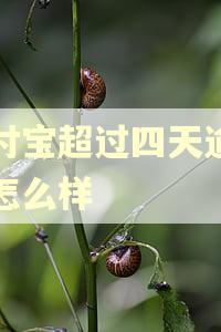 支付宝超过四天逾期会怎么样