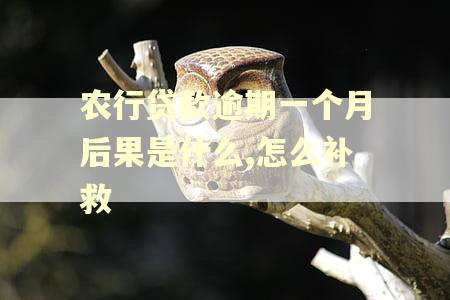 农行贷款逾期一个月后果是什么,怎么补救