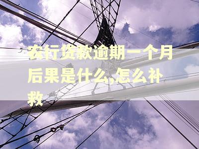 农行贷款逾期一个月后果是什么,怎么补救