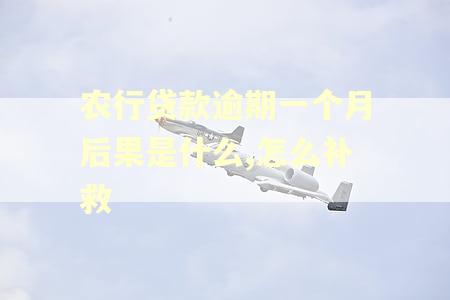 农行贷款逾期一个月后果是什么,怎么补救