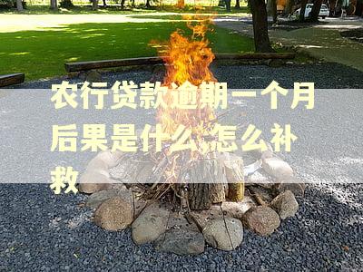 农行贷款逾期一个月后果是什么,怎么补救