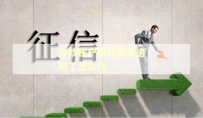 存款账户账号备案逾期了怎么办