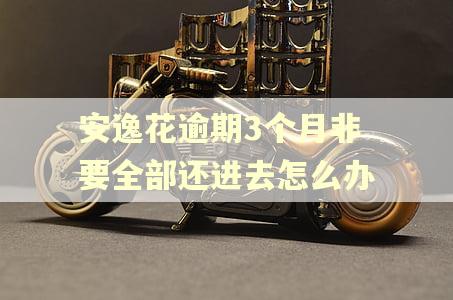 安逸花逾期3个月非要全部还进去怎么办