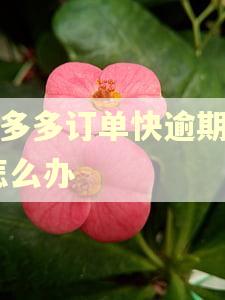 拼多多订单快逾期了,怎么办