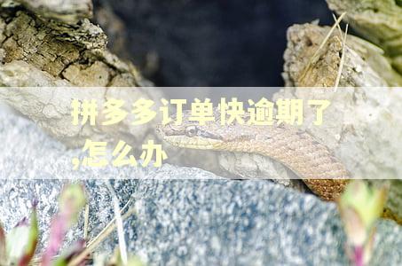拼多多订单快逾期了,怎么办