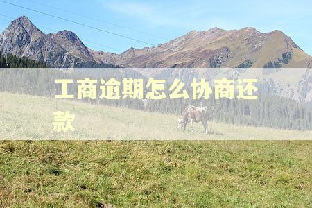 工商逾期怎么协商还款
