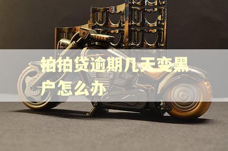 拍拍贷逾期几天变黑户怎么办
