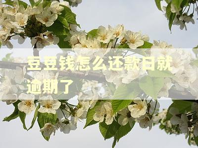 豆豆钱怎么还款日就逾期了