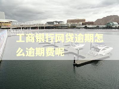 工商银行网贷逾期怎么逾期费呢