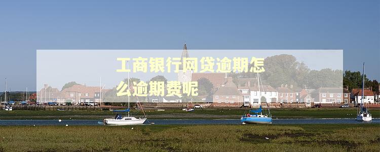 工商银行网贷逾期怎么逾期费呢 工商银行网贷逾期怎么逾期费呢