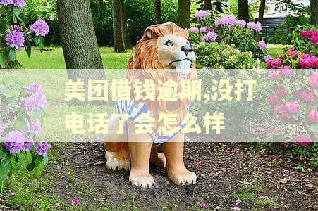 美团借钱逾期,没打电话了会怎么样