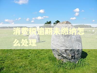 消费税逾期未缴纳怎么处理