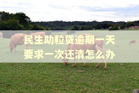 民生助粒贷逾期一天要求一次还清怎么办