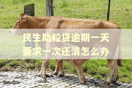 民生助粒贷逾期一天要求一次还清怎么办