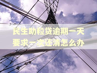 民生助粒贷逾期一天要求一次还清怎么办