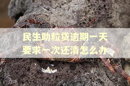 民生助粒贷逾期一天要求一次还清怎么办