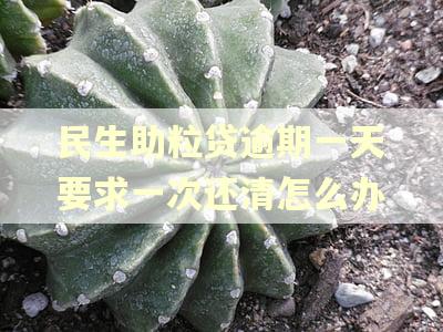 民生助粒贷逾期一天要求一次还清怎么办