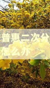 平安普惠二次分期逾期了怎么办