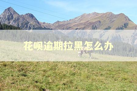 花呗逾期拉黑怎么办