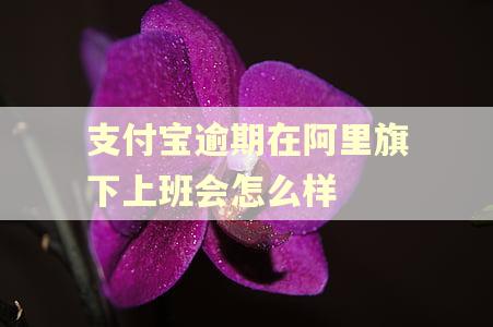 支付宝逾期在阿里旗下上班会怎么样