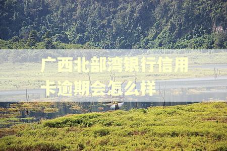 广西北部湾银行信用卡逾期会怎么样