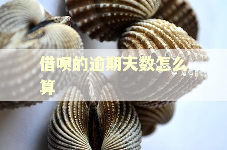 借呗的逾期天数怎么算 借呗的逾期天数怎么算
