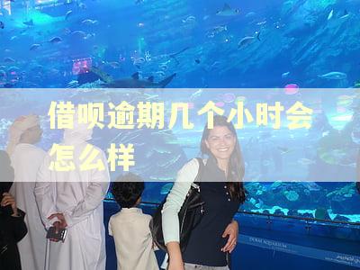 借呗逾期几个小时会怎么样