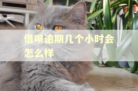 借呗逾期几个小时会怎么样